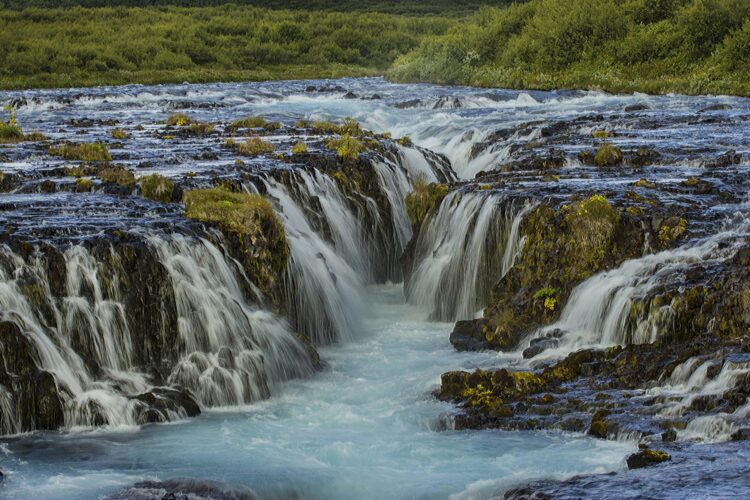 Greiðsla iðgjalda